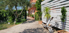 Casale Terra Sole B&B Terlizzi